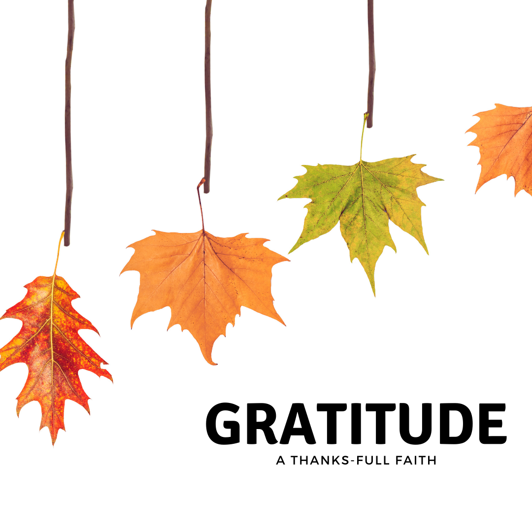 Gratitude for Our Relationships
